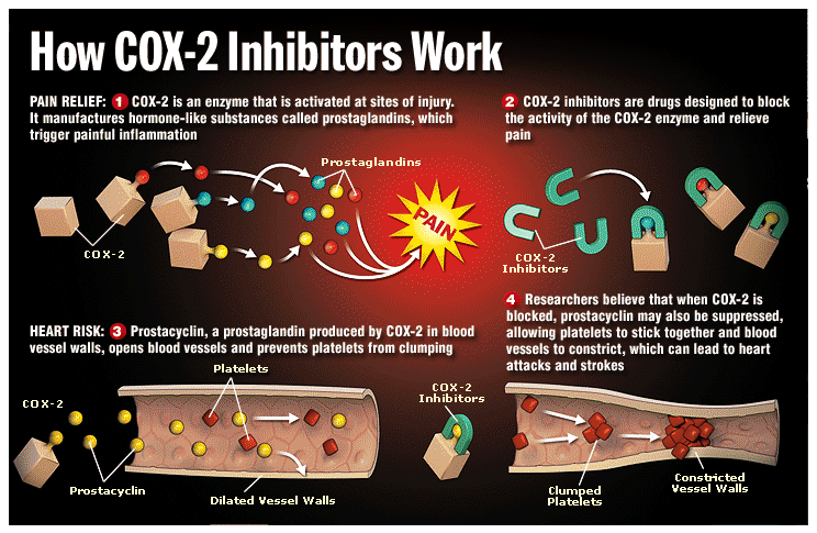 How Cox-2 Inhibitors Work