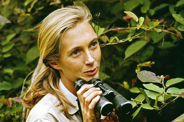 Primatologist Jane Goodall