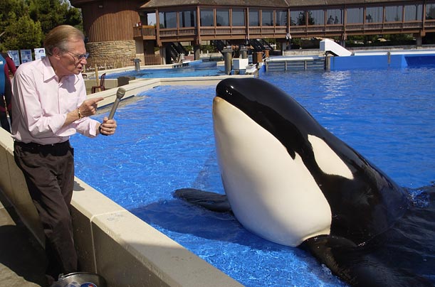 On a family trip to Sea World, King pretends to interview Shamu, the killer whale.