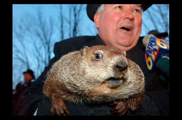 official groundhog handler bill deely holds punxsutawney phil in pennsylvania