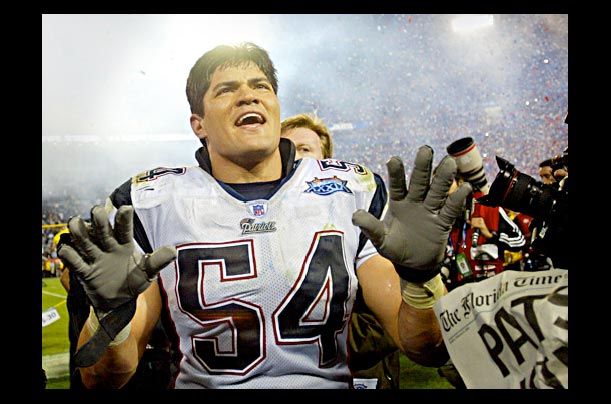 Tedy Bruschi of the New England patriots celebrates the team's Super Bowl victory over the Philadelphia Eagles