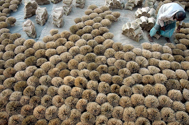 Bamboo incense sticks are prepared for drying in Nalchal, India.
