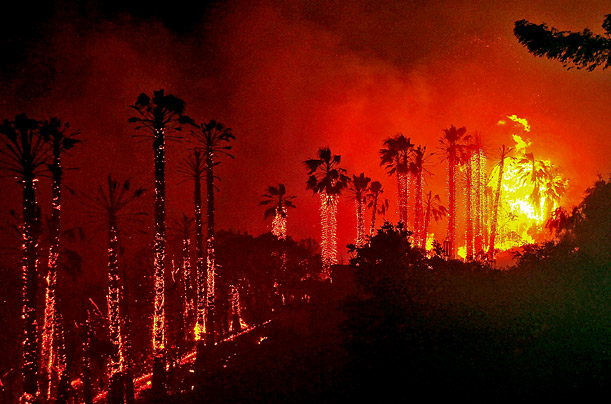 A wildfire in Santa Barbara, California engulfs towering palm trees. Officials in the area give mandatory evacuation orders to approximately 30,000 people.