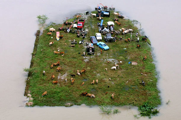 Closing In
Cows and vehicles are stranded on a piece of land surrounded by flood water in Jeram Perdas, Malaysia.