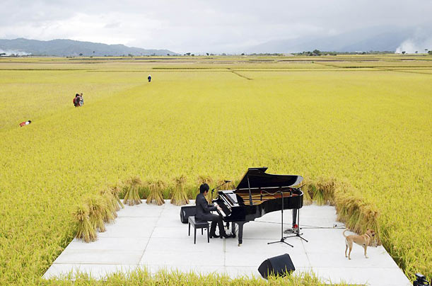 Pastoral Playing
Taiwanese pianist Chen Kuan-yu performs in the middle of a rice paddy in Chishang, Taiwan.