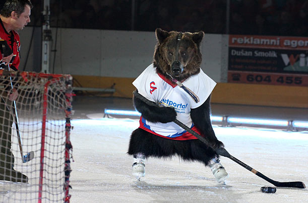 Take The Puck, Just Don't Eat Me
A circus bear wearing ice skates plays ice hockey with its handler during a demonstration