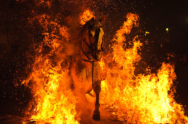 Blazing Saddles
A man charges through a bonfire on horseback in San Bartolome de Pinares, Spain, during an event honoring Saint Anthony, the patron saint of animals.
