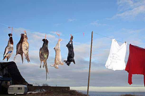 Dinner
A duck, pheasants and rabbits hang from a clothes line before being plucked, skinned and frozen near the village of Carnlough in Northern Ireland.