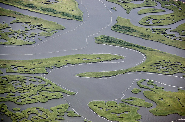 Oil booms are deployed in a marsh off the coast of Louisiana to protect the fragile wetlands from the BP oil spill.