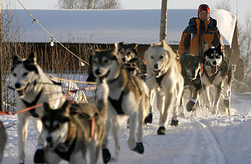 He grew up in Barnard. Now he's mushing dogs across Alaska in the Iditarod