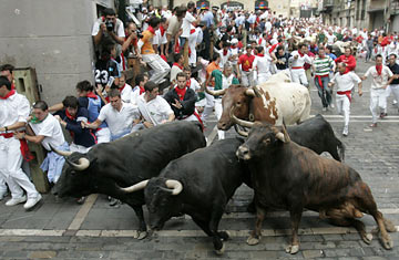 running of the bulls in spain