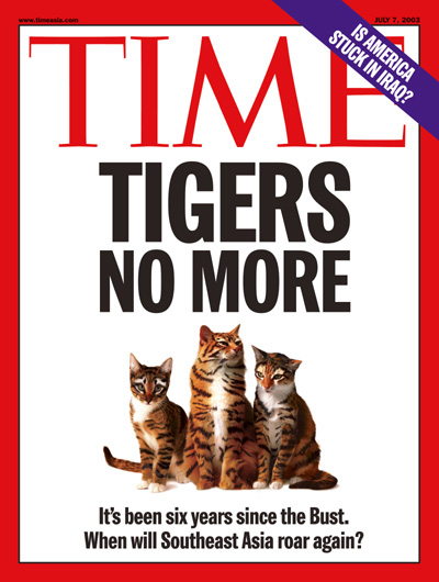 A ggroup of kittens with tiger stripes, representing Asia's timid economies