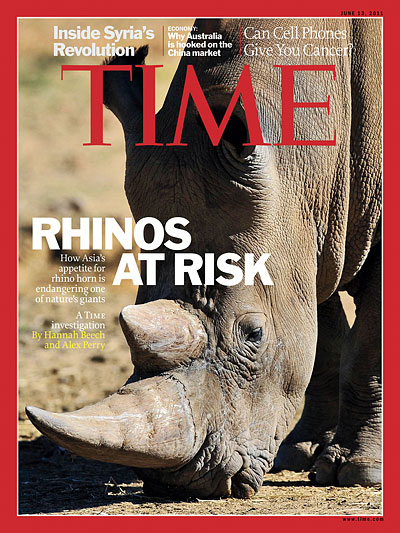 How Asia's appetite for rhino horn is endangering one of nature's giants