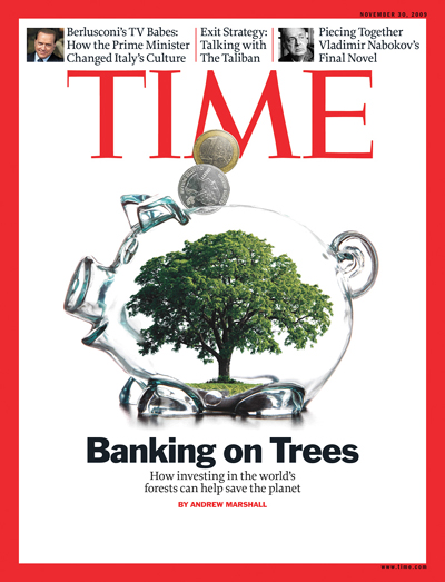 An illustration of a tree in a piggy bank.