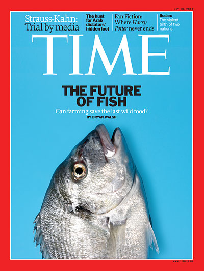 Blue cover with a photo of a sea bream fish