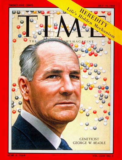 TIME Magazine Cover: George Beadie -- July 14, 1958