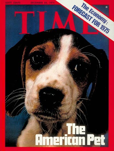 This young beagle is the seventh animal to appear on a TIME cover without being accompanied by its owner.