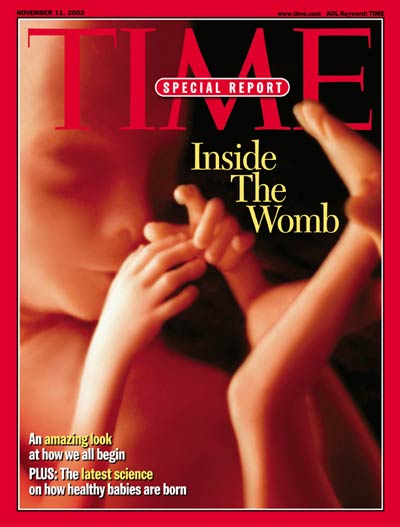 Human fetus in the womb