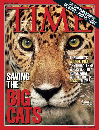 TIME Magazine Cover: Saving the Big Cats -- Aug. 23, 2004