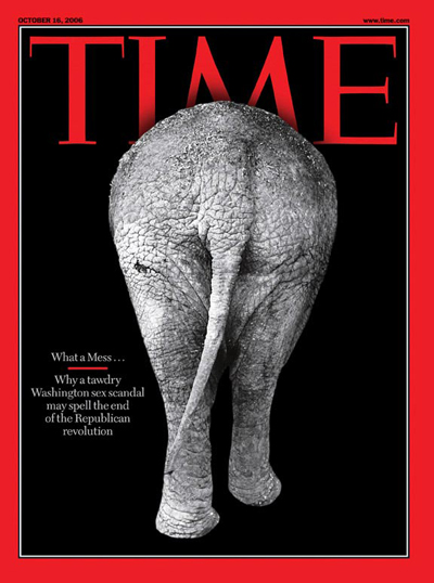 Photo of an elephant's backside