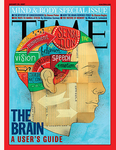 science magazine cover brain
