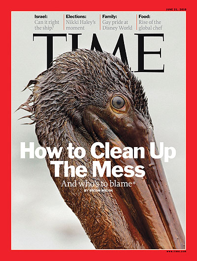 A pelican coated with oil from BP's Deepwater Horizon oil spill in the Gulf of Mexico