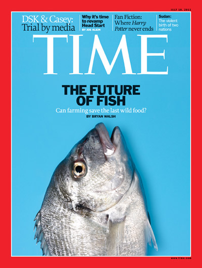 Blue cover with a photo of a sea bream fish