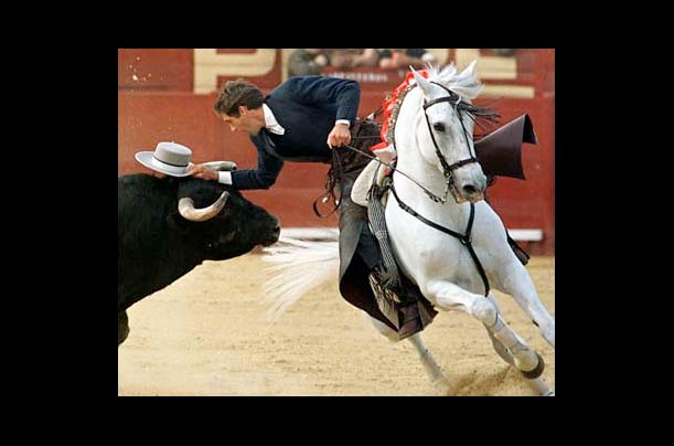 Bullfighter Pablo Hermoso de Mendoza puts his hat on the bull during a horseback bullfight in Jerez, southwestern Spain.