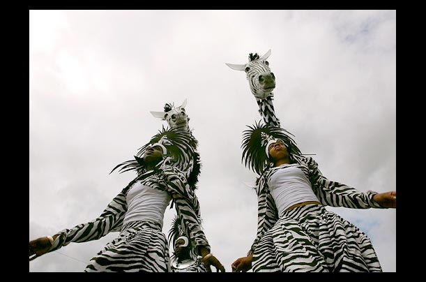 performers dressed as zebras participate in the trinidadian children's parade at London's Notting Hill Carnival