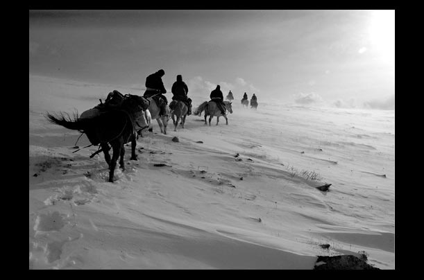 health workers make their way across Taiga after visiting Mongolia's nomadic reindeer people in Khovsgol province health workers make their way across Taiga after visiting Mongolia's nomadic reindeer people in Khovsgol province