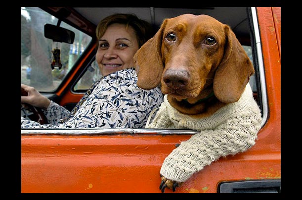 As temperatures decline in Havana, Cuba, a woman keeps her dog warm with a sweater