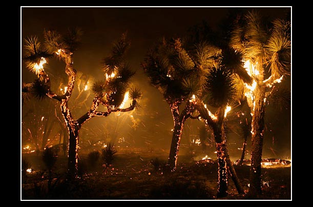 Los Angeles County and LA City firefighters battle a brush fire in Palmdale