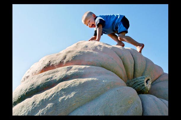 A boy climbs on a championship pumpkin in Huntsburg, Ohio