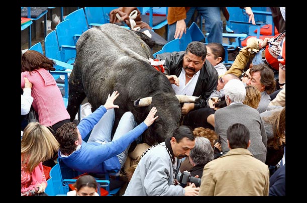 A bull jumps into the stands during a Mexico City bullfight, injuring several spectators