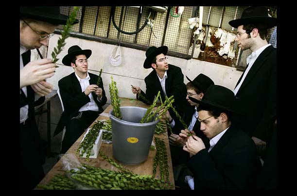 Sukkot, Orthodox, Jew