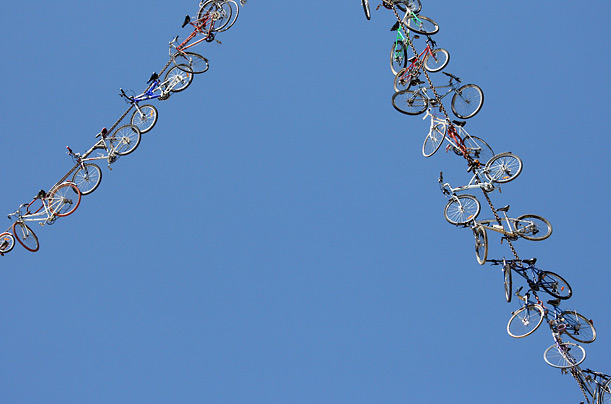 Pictures of the Week