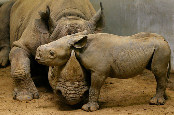 Pictures of the Week