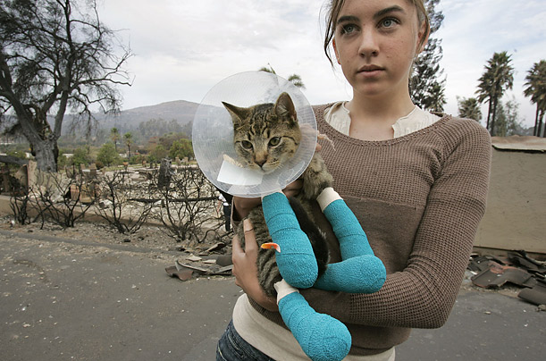 Alexis Olson, 13, holds her six-month-old cat, Miracle,  who was injured in the wildfire that destroyed her family's home in Escondido, California.