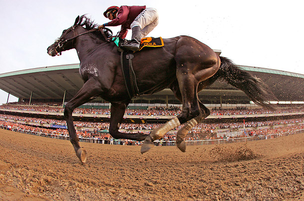 Jockey Alan Garcia rides Da'Tara during the 140th running of the Belmont Stakes at Belmont Park in Elmont, New York. The 37-1 horse went wire-to-wire to defeat the favorite, Big Brown.

