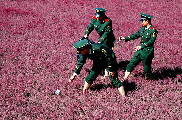 Chinese Border security policemen help tidy up the Red Beach scenic spot in Panjin, China.
