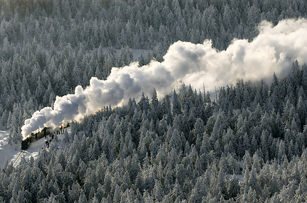 The traditional steam train Harzer Schmalspurbahn ascends towards the Brocken, the highest peak in the Harz Mountains, Schierke, Germany