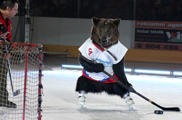 Take The Puck, Just Don't Eat Me
A circus bear wearing ice skates plays ice hockey with its handler during a demonstration Take The Puck, Just Don't Eat Me
A circus bear wearing ice skates plays ice hockey with its handler during a demonstration