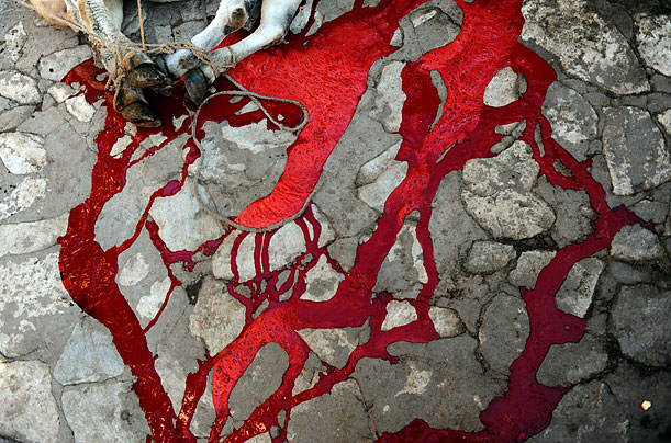 The annual festival of Eid al-Adha, or the Festival of Sacrifice, marks the end of the Hajj.   
