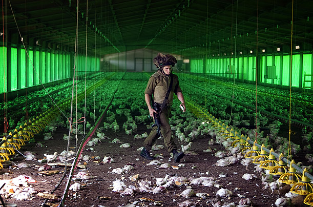 Pictures of the Week