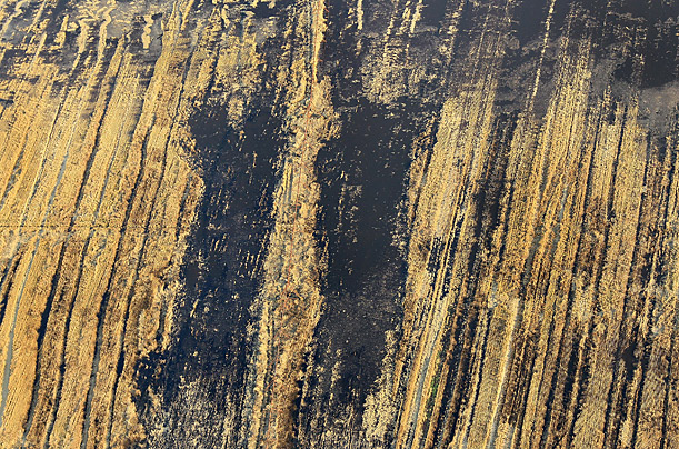 Pictures of the Week